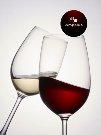 Loja de vinhos que é um charme na Casa Verde