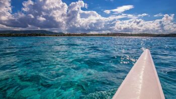 Passeios pelas Praias do Nordeste com Pedro Guia de Turismo