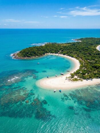 Descubra a Ilha de Santo Aleixo