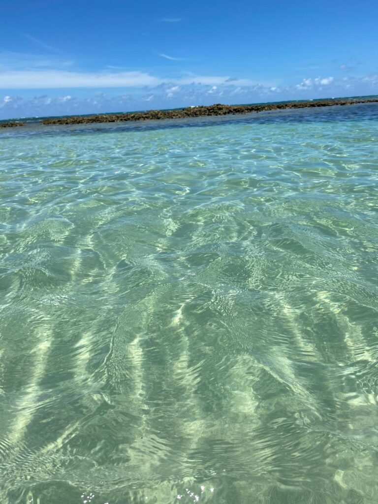 Maragogi: Tudo o Que Você Precisa Saber Antes de Ir 3 WhatsApp Image 2025 12 10 at 11.47.10 1