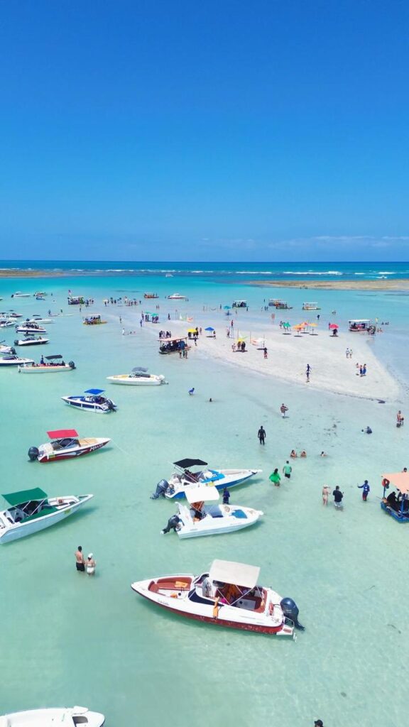 Maragogi: Tudo o Que Você Precisa Saber Antes de Ir 4 WhatsApp Image 2025 12 10 at 11.47.10