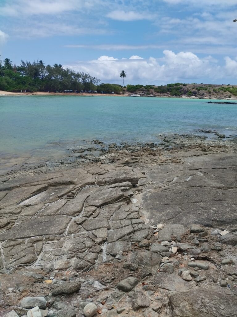 Ilha de Santo Aleixo: Guia Completo do Passeio 3 WhatsApp Image 2025 12 10 at 17.48.06