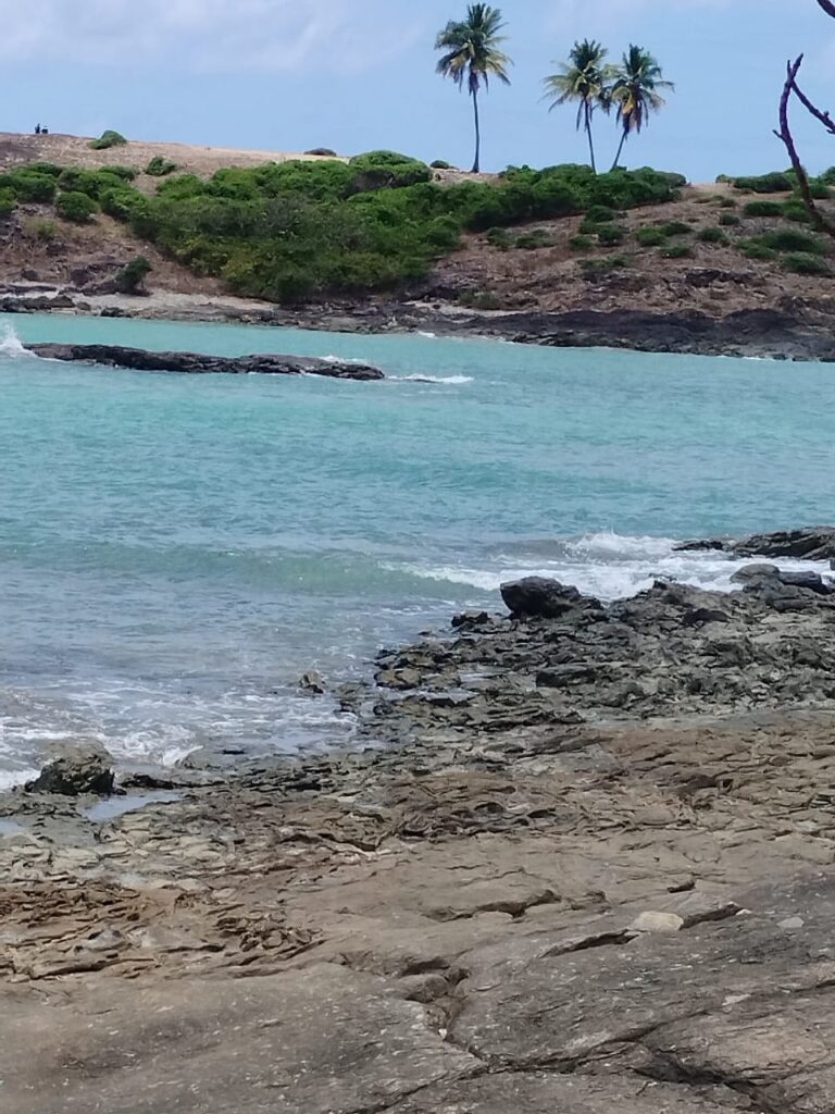 Ilha de Santo Aleixo: Guia Completo do Passeio 2 WhatsApp Image 2025 12 10 at 17.48.07