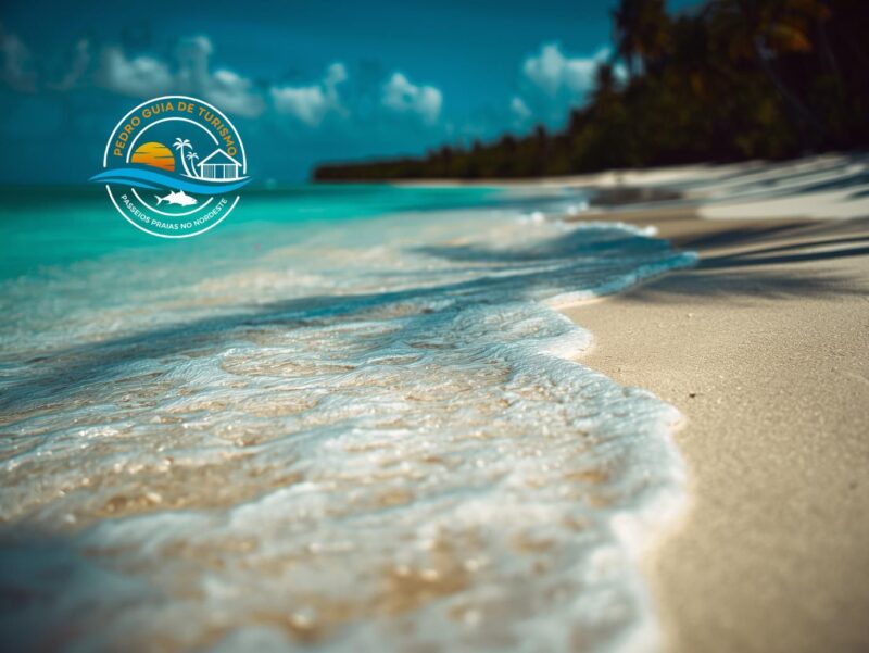 Maragogi: Tudo o Que Você Precisa Saber Antes de Ir