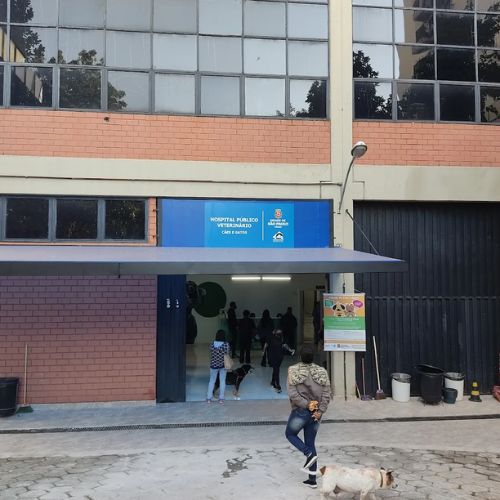 Petshops e Veterinarios 2