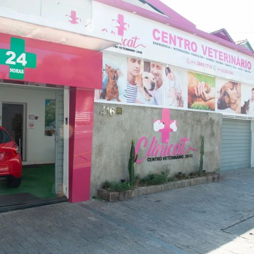 Petshops e Veterinarios 8